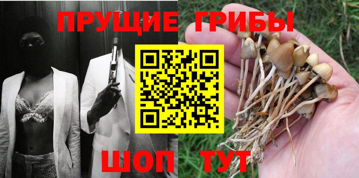 Псилоцибиновые грибы Cubensis  цена наркотик  Ростов-на-Дону  Галлюциногенные грибы Magic Shrooms  Вход с VPN 