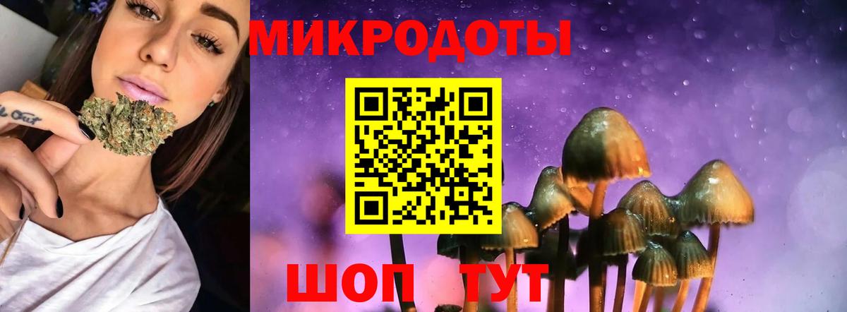 Псилоцибиновые грибы прущие грибы Ростов-на-Дону